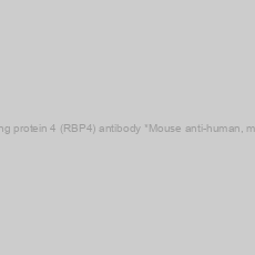 Image of Anti-Retinol-binding protein 4 (RBP4) antibody *Mouse anti-human, monoclonal IgG2a*
